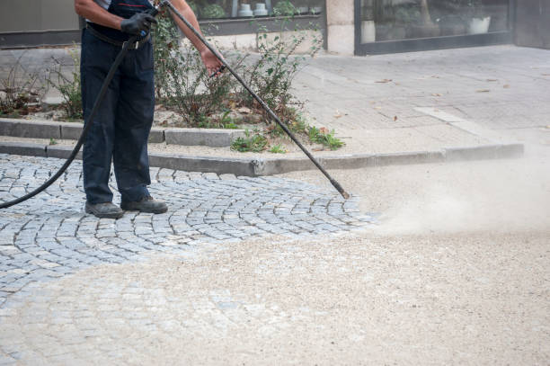 Best Pre-Holiday Cleaning  in East Massapequa, NY